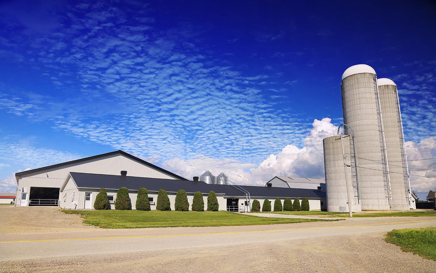 Modern Large Farm with Bulk Grain Storage Silos Modern Large Farm with Bulk Grain Storage Silos